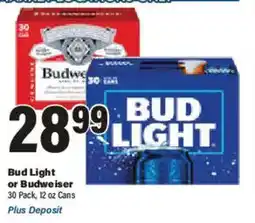 Big Y Bud Light or Budweiser offer