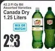 Key Food Canada Dry offer