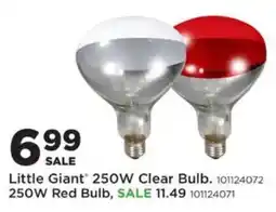 Mills Fleet Farm Little Giant 250W Clear Bulb offer