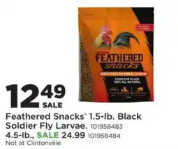 Mills Fleet Farm Feathered Snacks Black Soldier Fly Larvae offer