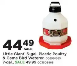 Mills Fleet Farm Little Giant 5-gal. Plastic Poultry & Game Bird Waterer offer