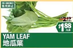 99 Ranch Yam Leaf offer