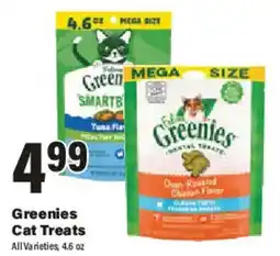 Big Y Greenies cat treats offer