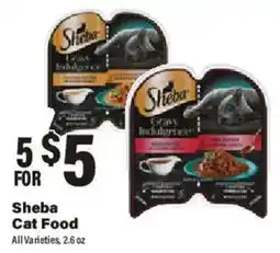 Big Y Sheba Cat Food offer