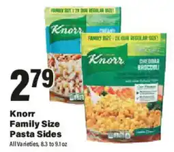Big Y Knorr Family Size Pasta Sides offer