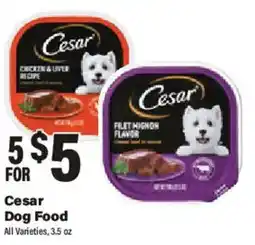 Big Y Cesar Dog Food offer