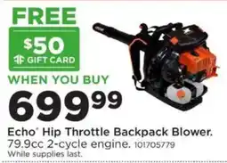 Mills Fleet Farm Echo Hip Throttle Backpack Blower offer
