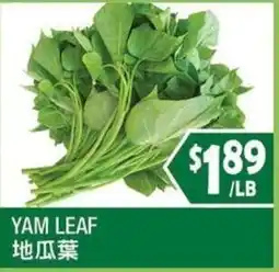 99 Ranch Yam Leaf offer
