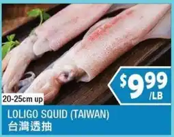 99 Ranch Loligo Squid (Taiwan) offer