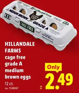 Lidl Hillandale Farms cage free grade A medium brown eggs offer