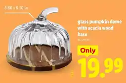 Lidl glass pumpkin dome with acacia wood base offer