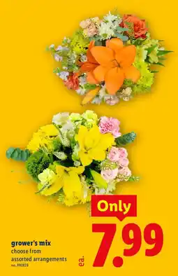 Lidl grower's mix offer