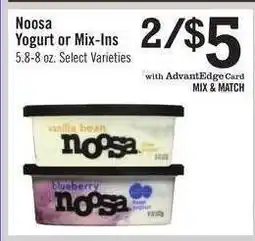 Price Chopper Noosa Yogurt or Mix-Ins offer