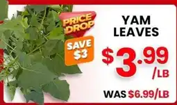 Seafood City Yam Leaves offer