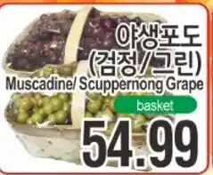 ASSI Plaza Muscadine/ Scuppermong Grape offer