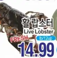 ASSI Plaza Live Lobster offer