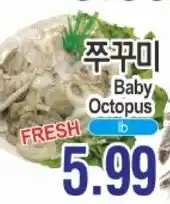 ASSI Plaza Baby Octopus offer