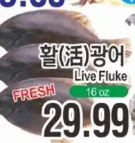 ASSI Plaza Live Fluke offer