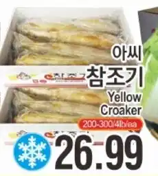 ASSI Plaza Yellow Croaker offer