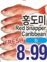 ASSI Plaza Red Snapper Caribbean offer