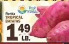 C Town Florida tropical batatas offer