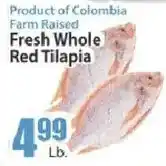 Food Universe Fresh Whole Red Tilapia offer