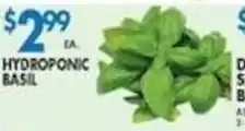 Met Foodmarkets Hydroponic Basil offer