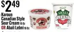 Jons International Karoun Canadian Style Sour Cream or Abali Lebni offer