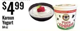 Jons International Karoun Yogurt offer