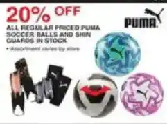 Dunham's Sports Puma soccer balls and shin guards offer