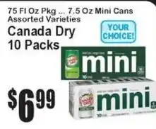 Super Fresh Canada Dry mini offer