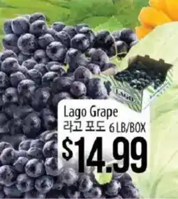 Hmart Lago Grape offer