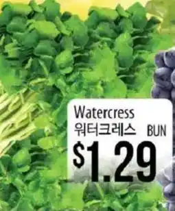 Hmart Watercress offer