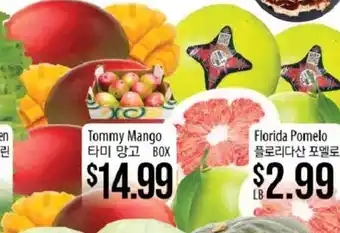 Hmart Tommy Mango offer