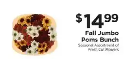 ShopRite Fall Jumbo Poms Bunch offer