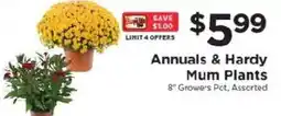ShopRite Annuals & Hardy Mum Plants offer