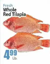 Key Food Fresh Whole Red Tilapia offer