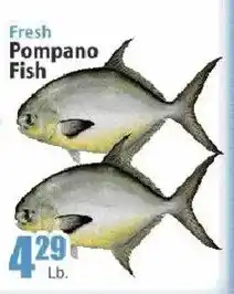 Key Food Fresh Pompano Fish offer