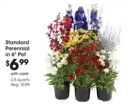 Fred Meyer Standard Perennial offer