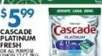 Associated Cascade platinum scotch brite sponges offer