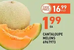 US Foods Chef's Store Cantaloupe Melons offer