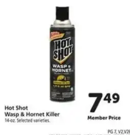 Vons Hot Shot Wasp & Hornet Killer offer