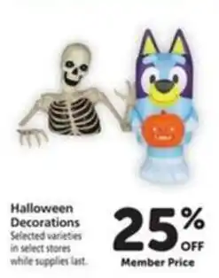 Vons Halloween Decorations offer
