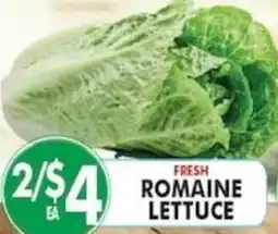 Associated Fresh Romaine Lettuce offer