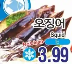 ASSI Plaza Squid offer