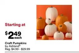 Michaels Craft Pumpkins offer