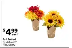 Michaels Fall Potted offer