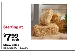 Michaels Straw Bales offer