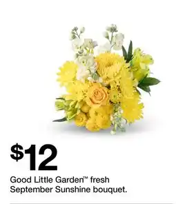 Target Good Little Garden fresh September Sunshine bouquet offer