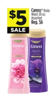 Dollar General Caress Body Wash offer